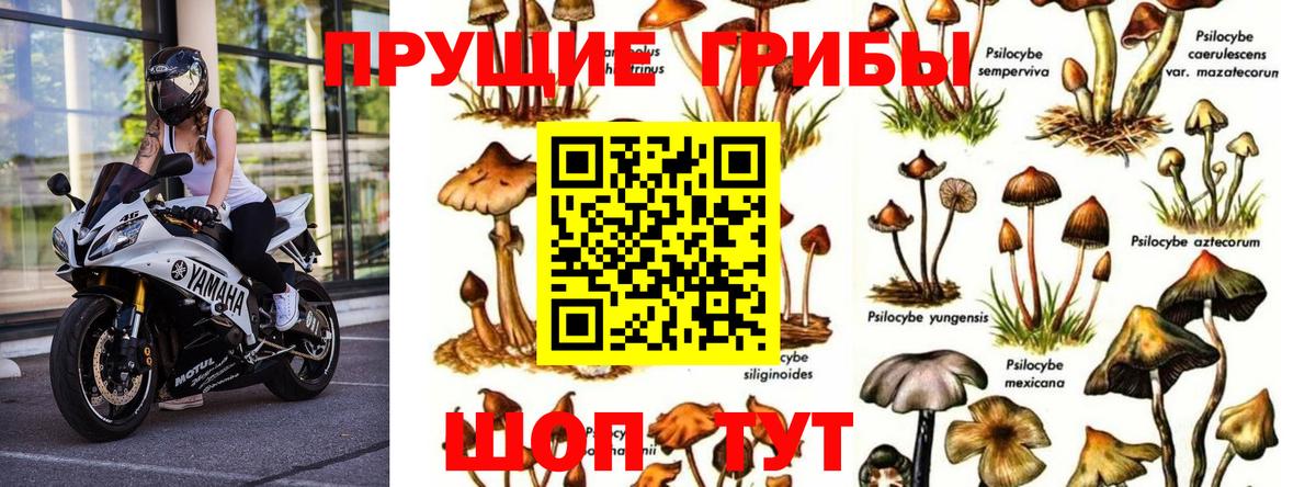 Псилоцибиновые грибы Psilocybine cubensis  Вход с VPN  Нефтекамск 